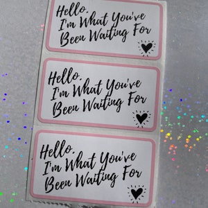 Hello Im What Youve Been Waiting for Stickers Packaging - Etsy