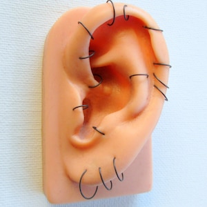 Earring - Wikipedia