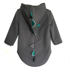 Puede incluir: Una chaqueta negra con capucha y un diseño de cola de dinosaurio verde en la espalda.