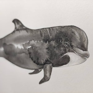 Original watercolor of a pilot whale globicephala ocean whale image 2
