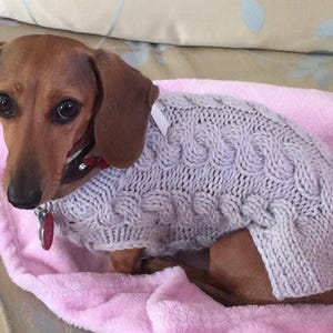 Hand Knit Cable Dog Sweater Dress: Custom XXS-M Puppy Clothes