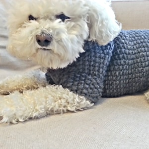 Handknit Gray Dog Hoodie: Wool Blend Pet Sweater by BubaDog