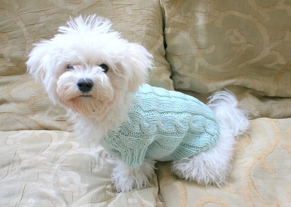 Suéter de algodón para perros a mano / ropa para perros - Etsy España