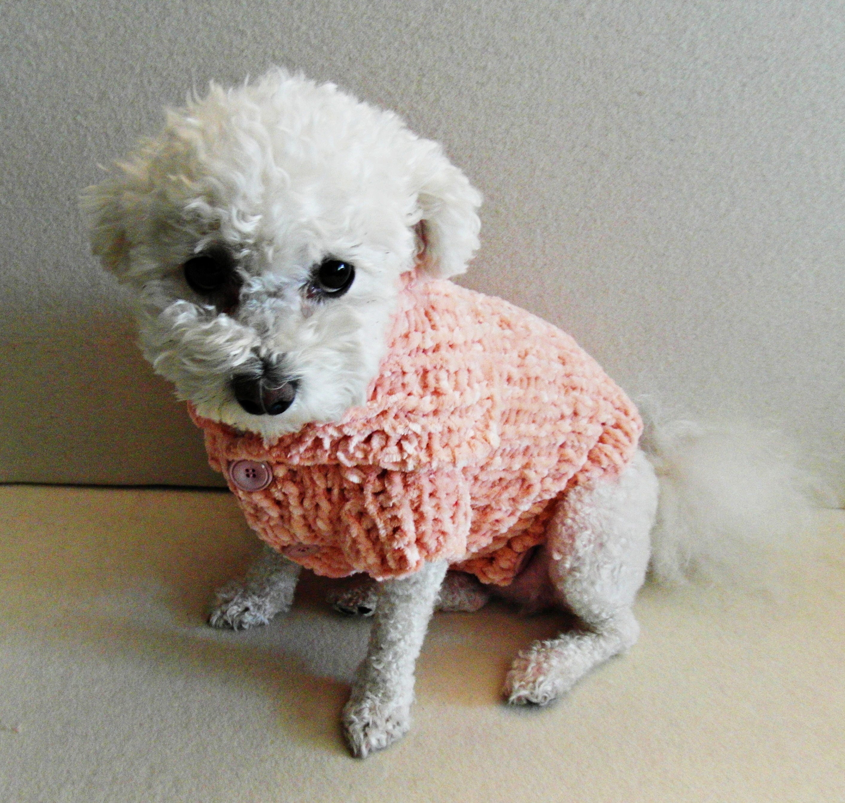 Xxs Dog Sweater
 Handmade Dog Sweater Dog clothes XXS PET Clothing XS Dog