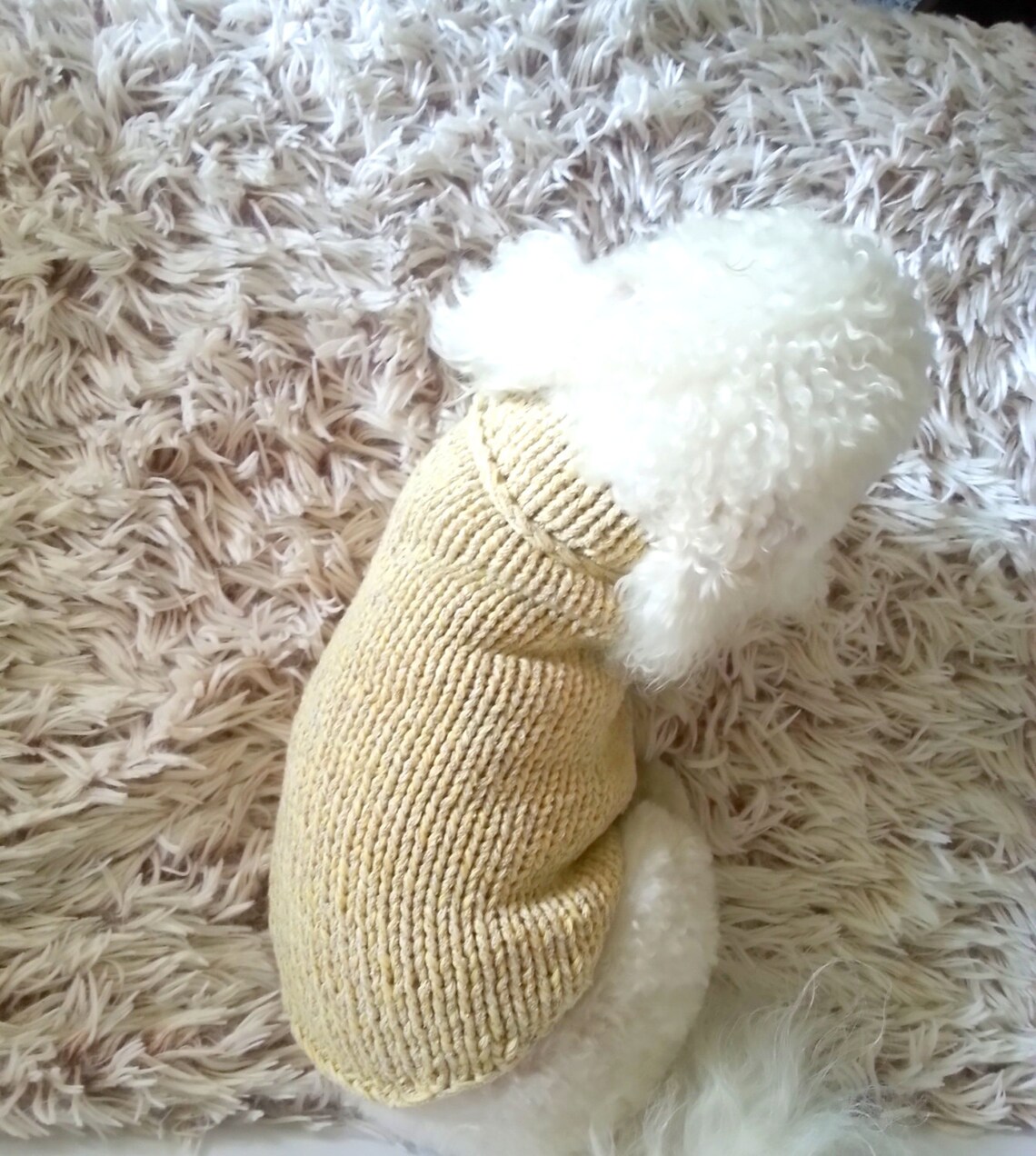 Pastel Dog Sweater. Handmade Dog Clothes. Pet Clothing. Hand Etsy