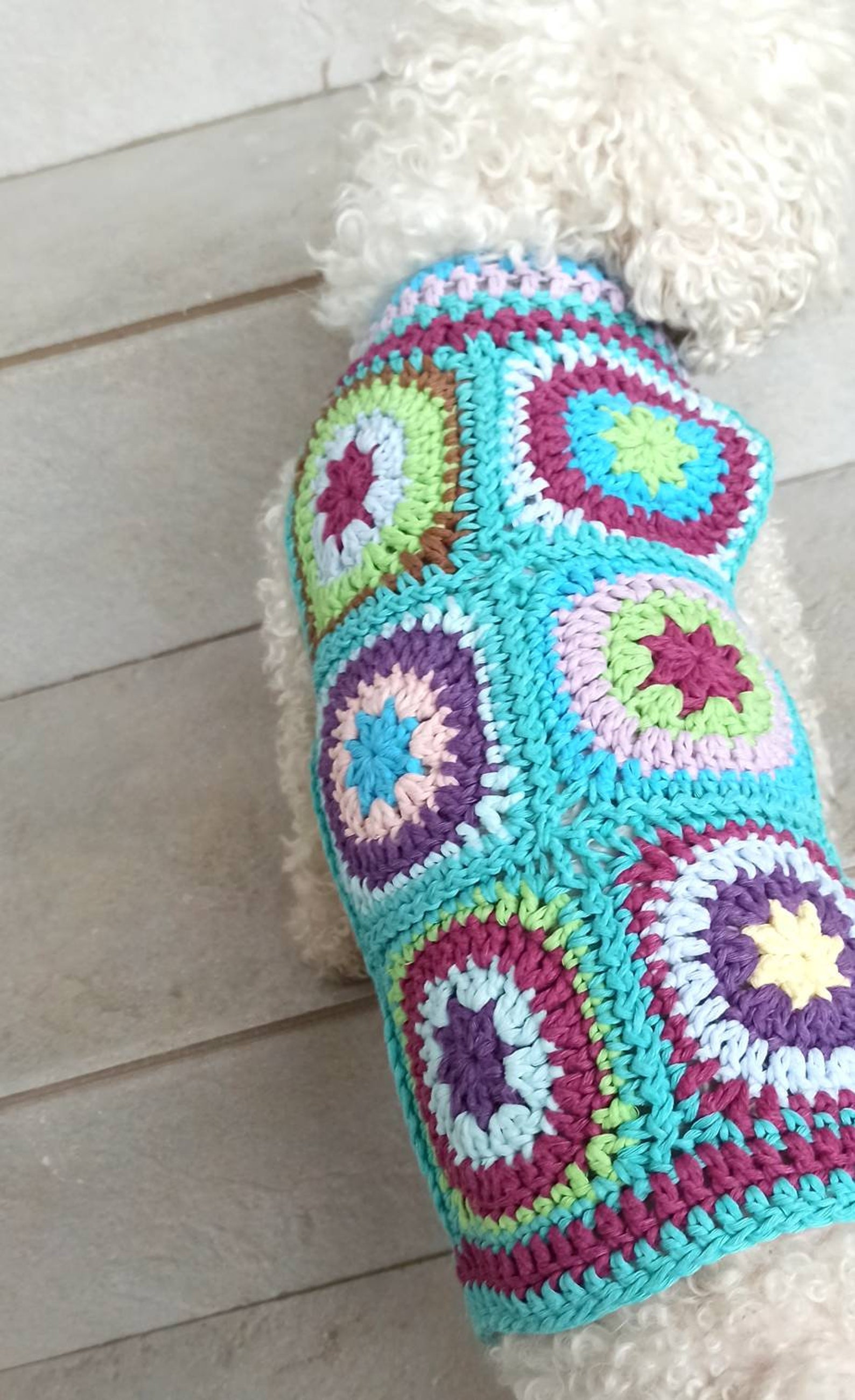 Granny Dog Sweater Small Dog Sweater Designer Dog Etsy