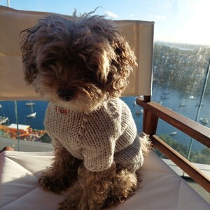 XXS Dog Hoodie Sweater \\ Personalized Dog Sweater \\ Pet Clothing
