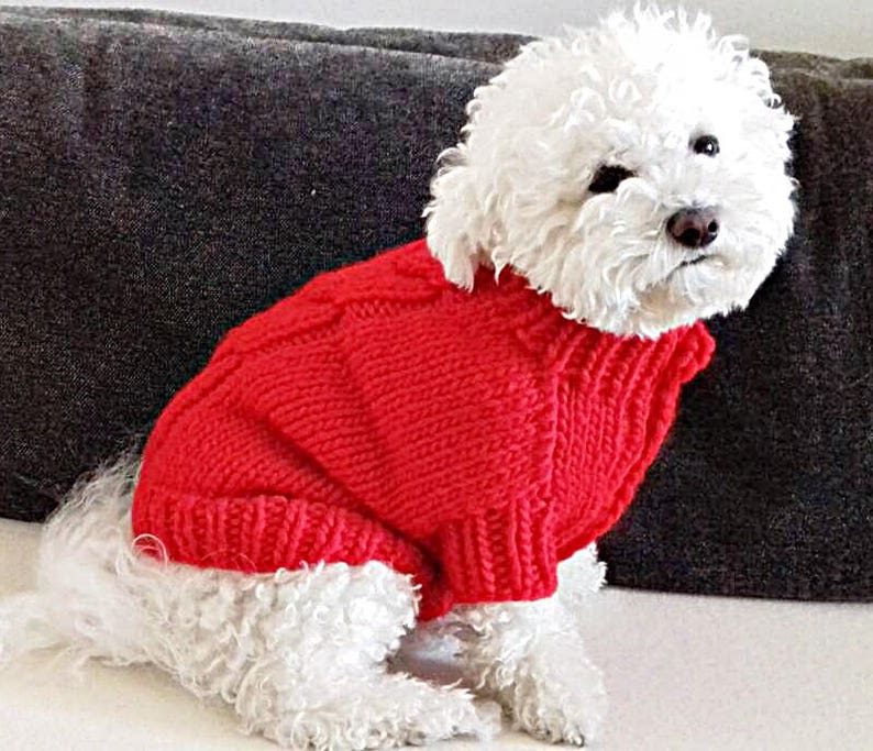 Red Dog Sweater Puppy Sweater Pet Clothing Hand Knit Dog Etsy