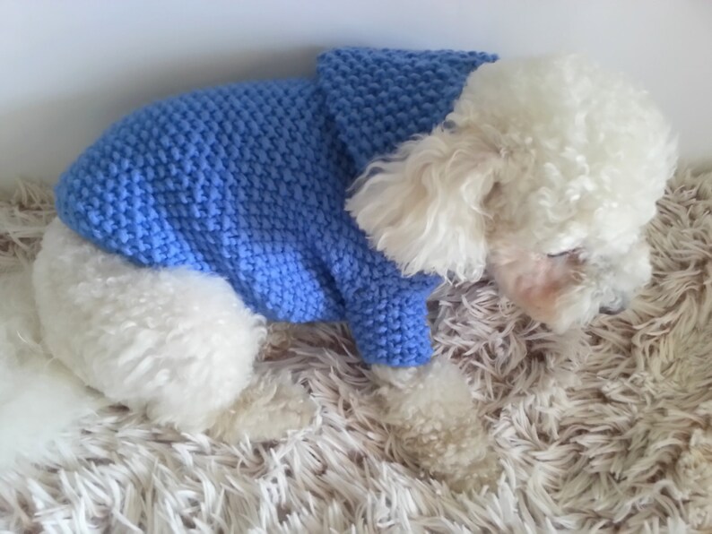 Dog Hoodie Sweater Blue Pet Clothing Hand Knit Dog Clothes Etsy