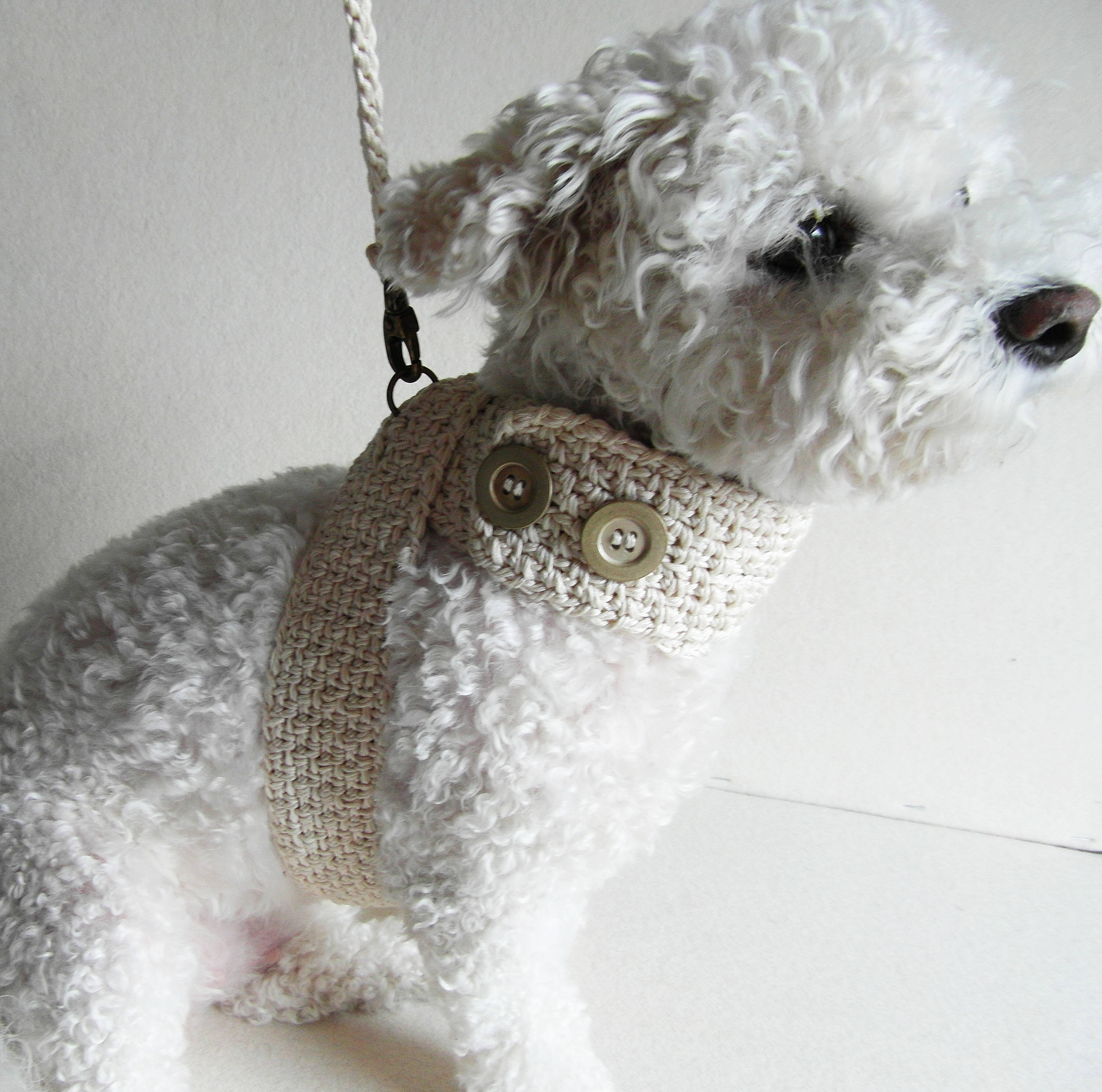 friendly dog harness