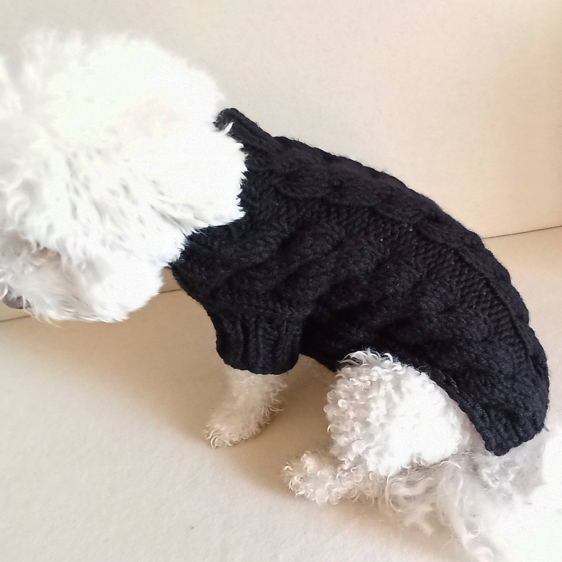 black dog sweater