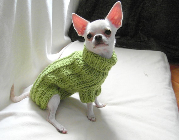 Suéter perro de punto de cable Suéter de Chihuahua tejido - Etsy España
