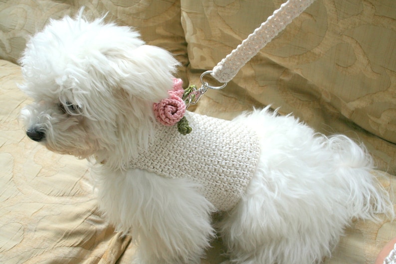 Wedding Dog harness, Harness & Leash Set, Dog harness vest, Dog Harness Dress, Knit Dog Top, Small dog clothes, Crochet dog vest, BubaDog image 3