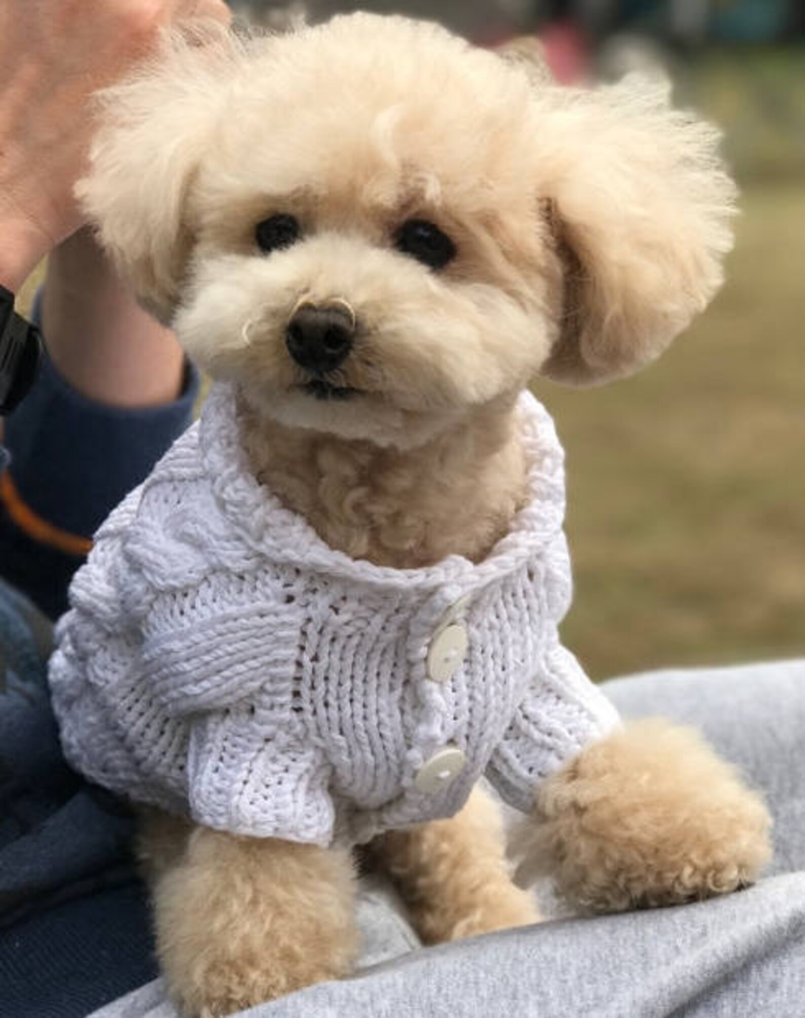 Dog Clothes knitted dog sweater cotton dog sweater Etsy