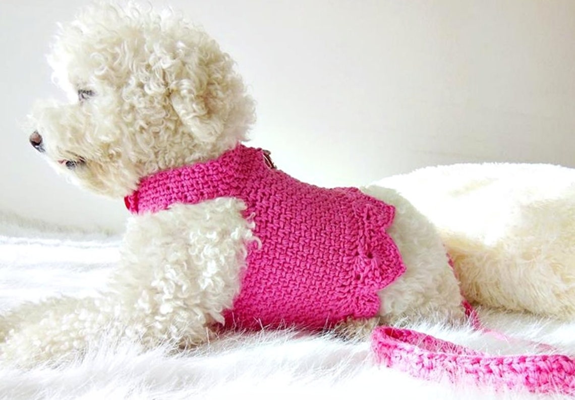 Pettorina E Guinzaglio Tattico Militare Per Cani – Nylon Regolabile Per Pastore Tedesco