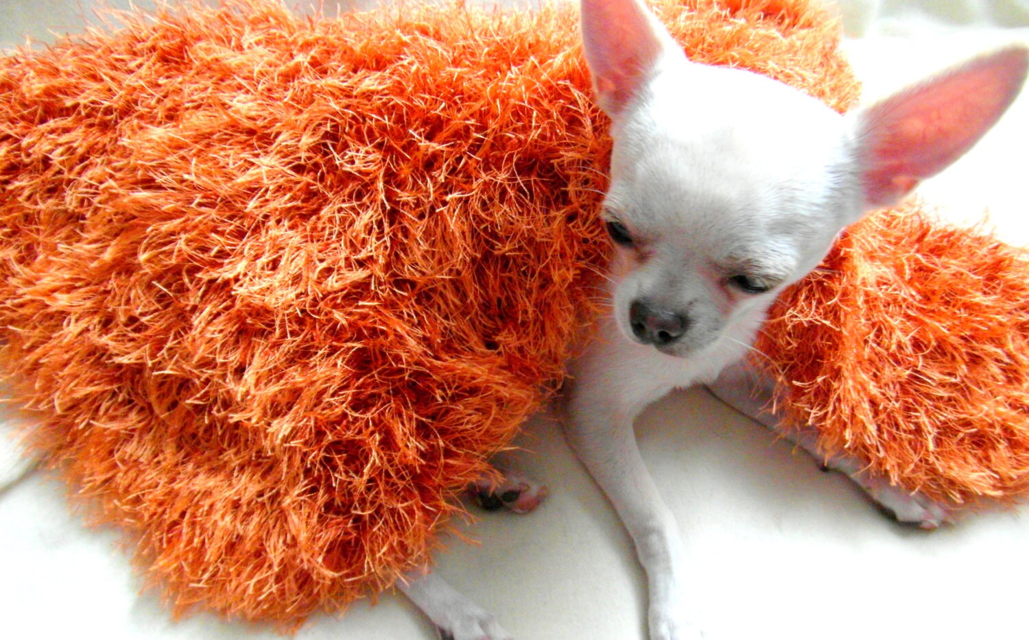 Pet Blanket Chihuahua Blanket Dog Bedding Soft Furry Dog Etsy