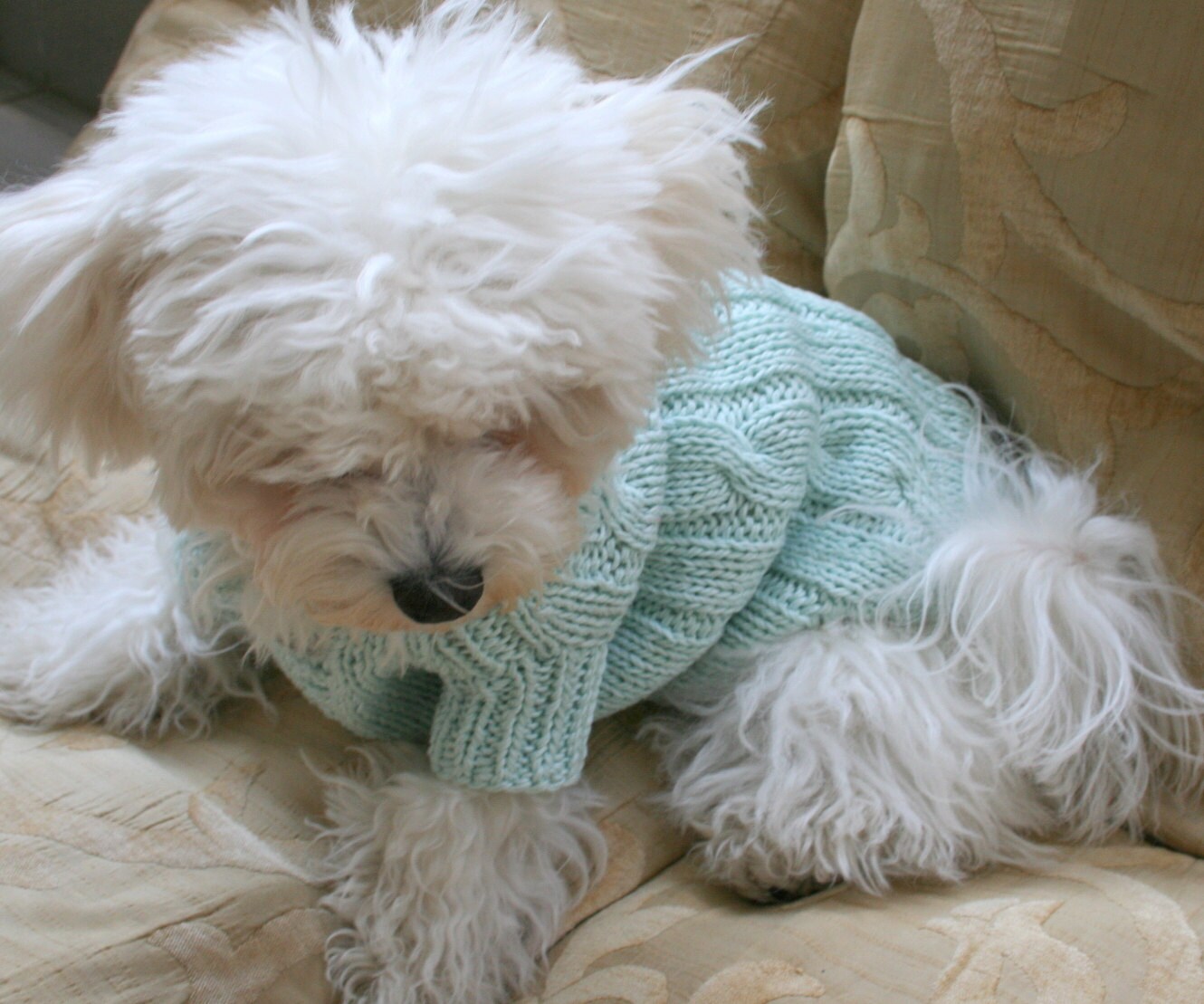 Dog Clothes knitted dog sweater cotton dog sweater Etsy