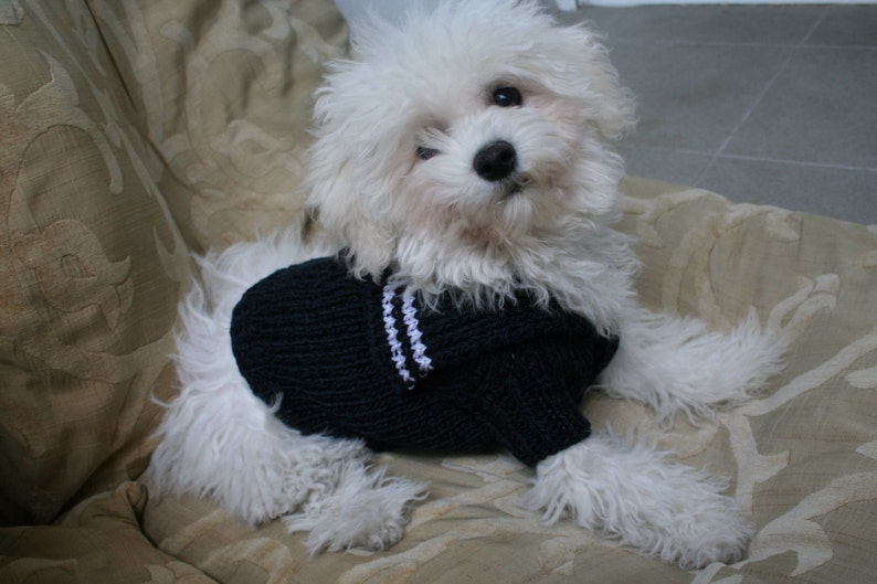 Navy Blue Dog Sweater Dog Clothes Pet Clothing Knitted Etsy