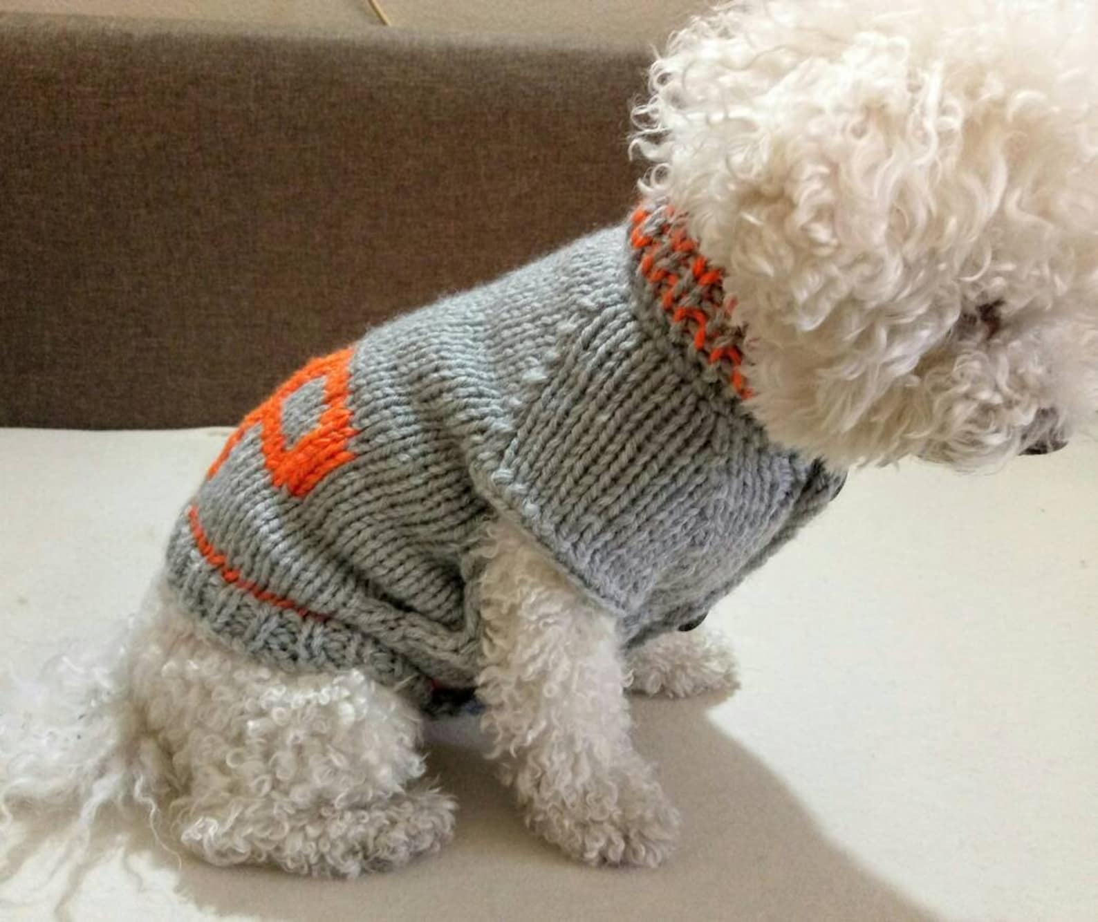 Personalized Dog Sweater Monogrammed Dog Jacket Dog - Etsy