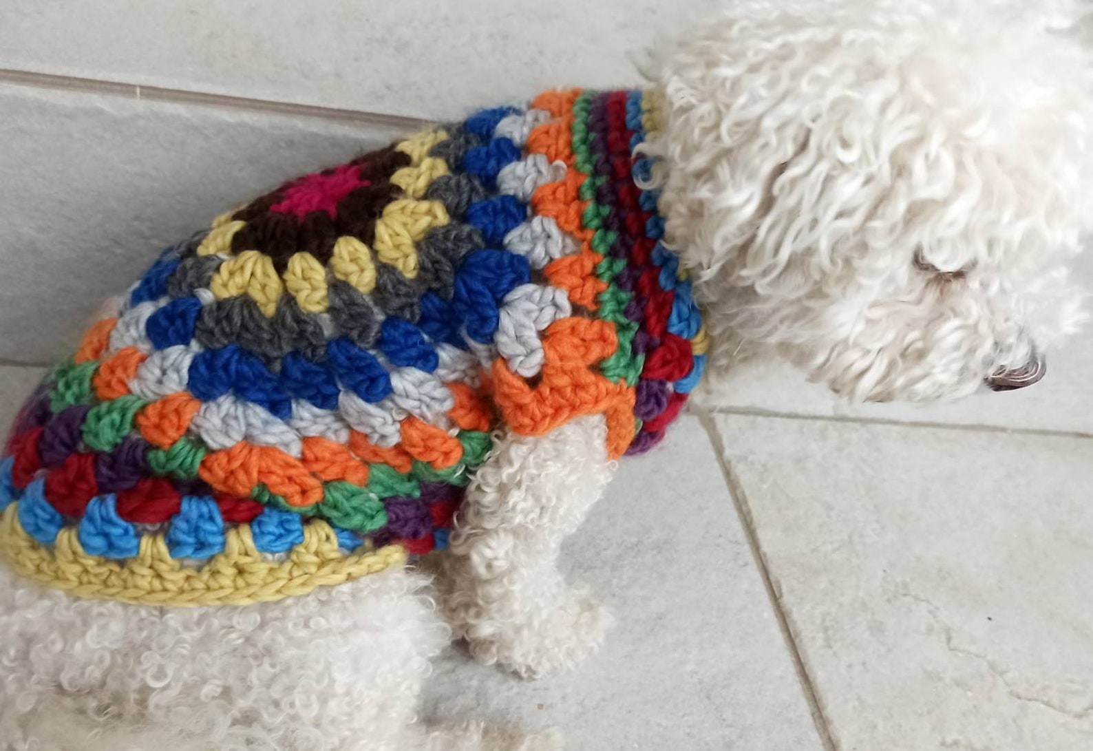 Granny Square Dog Sweater Crochet Dog Sweater Patchwork Etsy