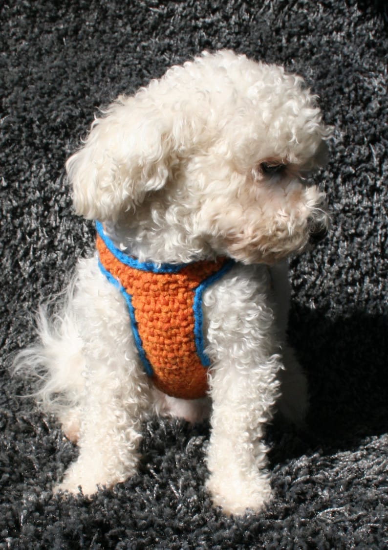 DOG harness Dog Vest Small dog harness Matching leash Pets Harness
