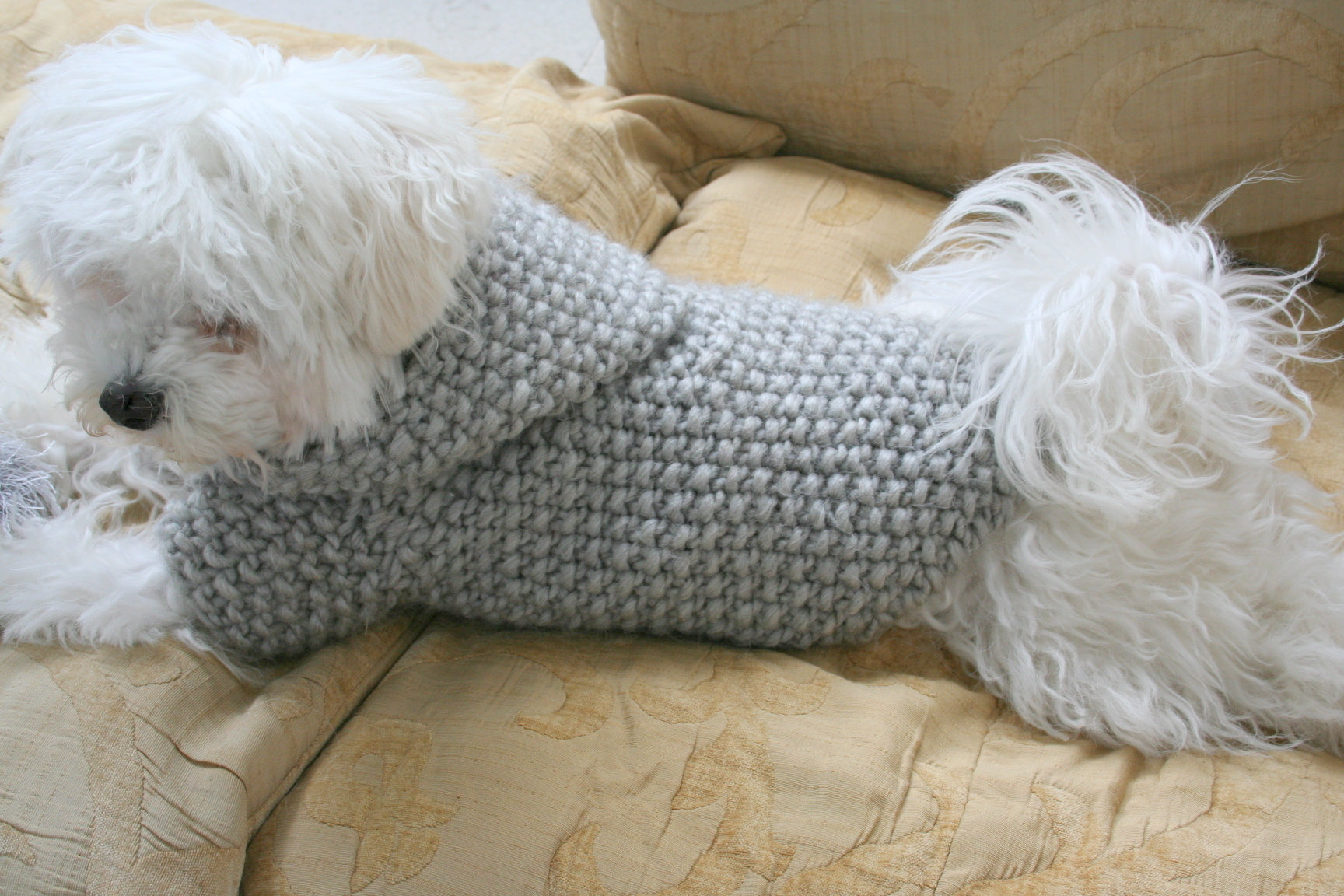 READY TO SHIP Dog Hoodie Sweater Grey Pet Clothing Hand Knit Etsy