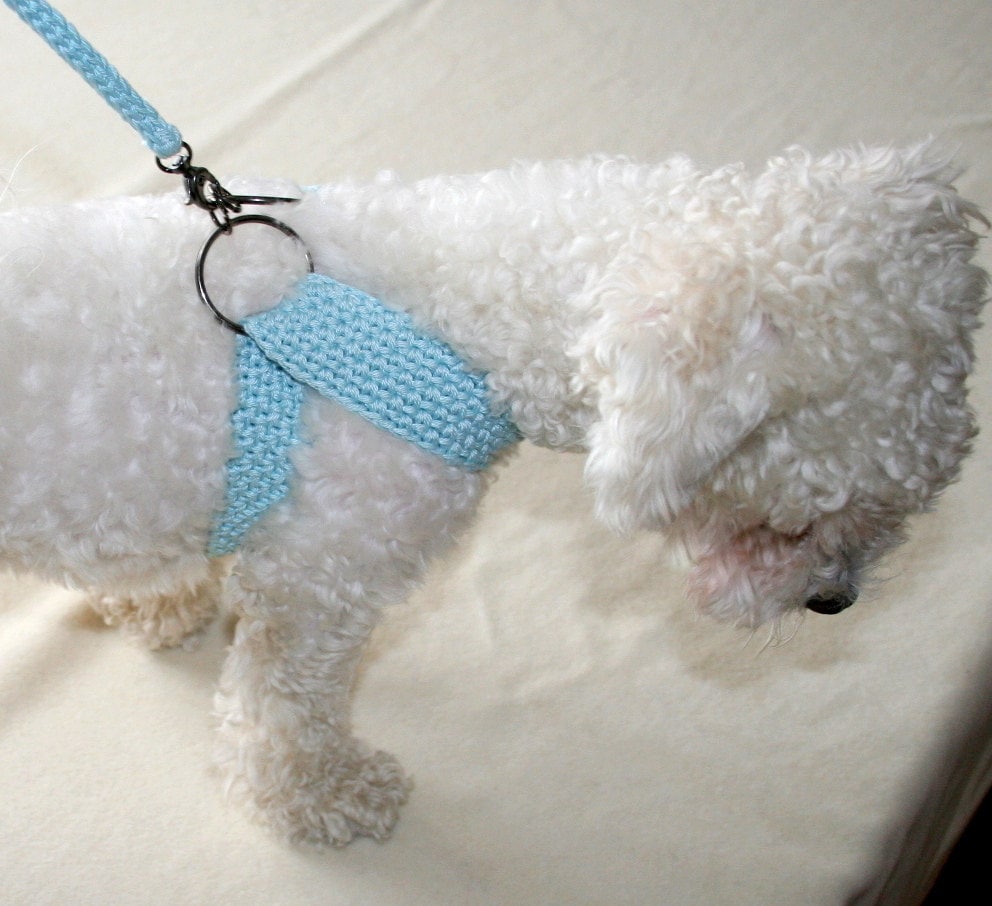 friendly dog harness