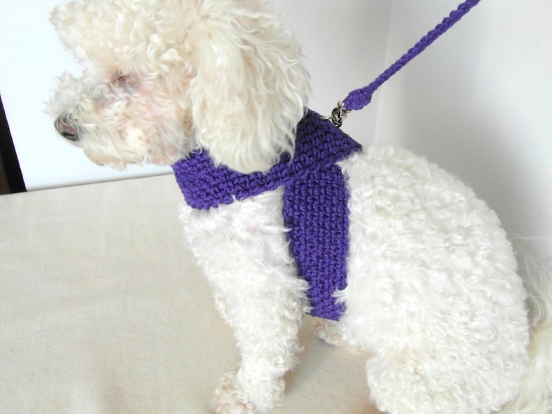 Pet Harness with Matching leash Friendly DOG harness Pet Etsy