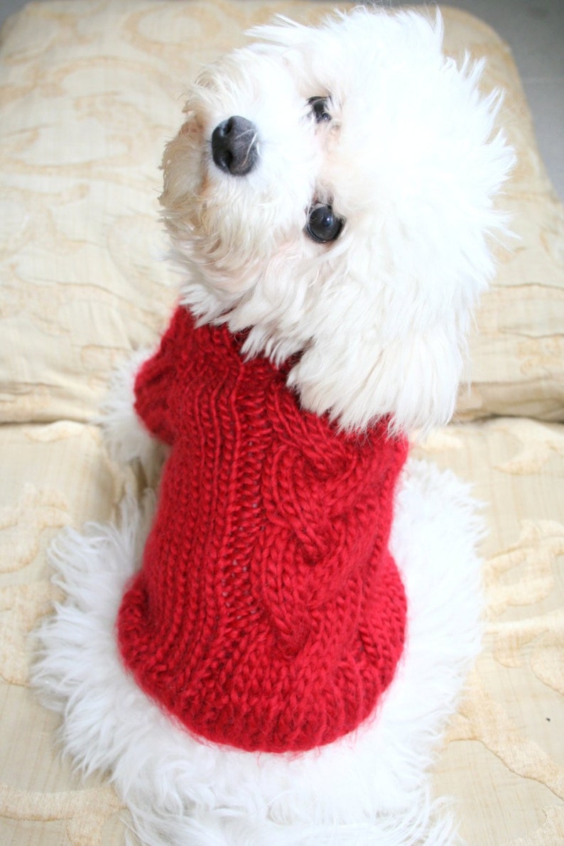 Red Dog Sweater Puppy Sweater Pet Clothing Hand Knit Dog Etsy