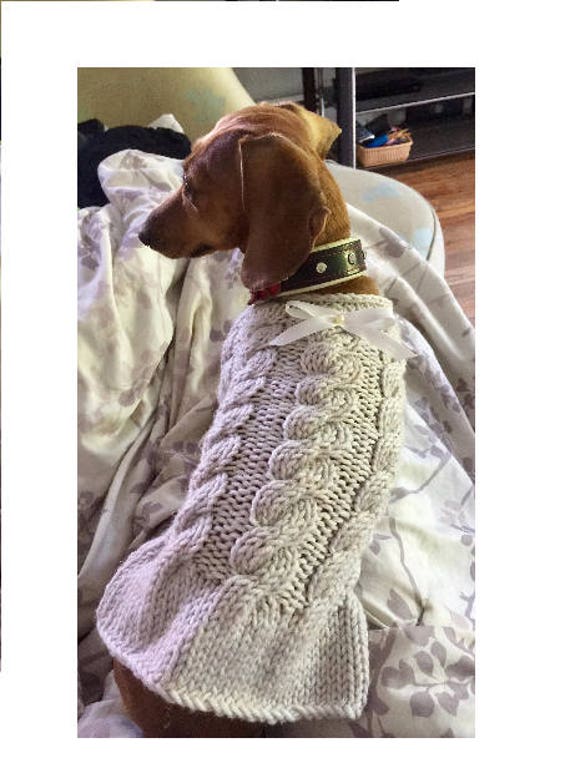 Abito elegante cane Vestito cani estate Maglione per cani | Etsy Italia