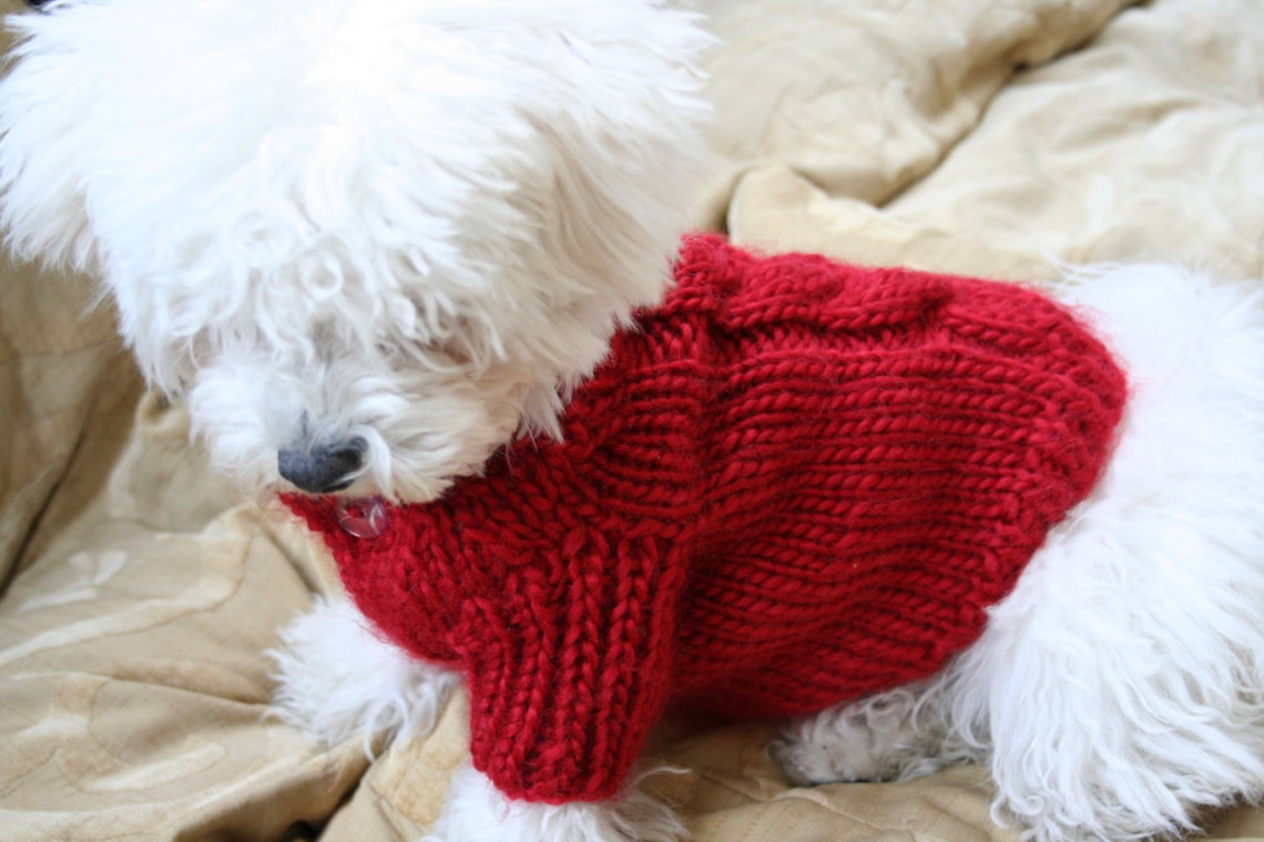 Red Dog Sweater Puppy Sweater Pet Clothing Hand Knit Dog Etsy