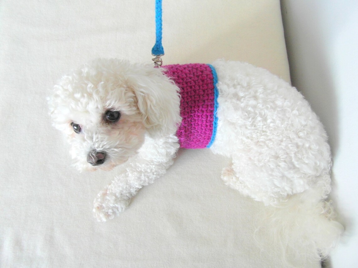 Crochet DOG harness Dog Harness Vest Matching leash Pets Etsy