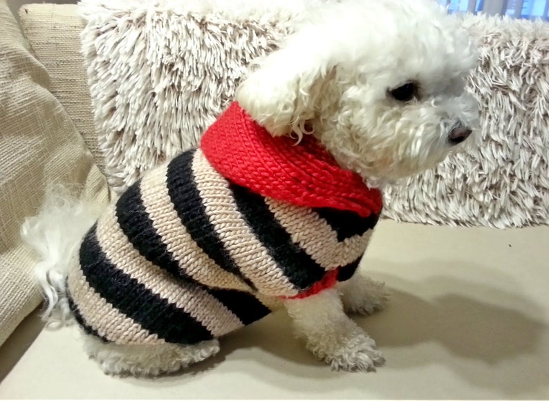 Felpa Con Cappuccio Per Cani Piccoli - Maglione Invernale Per Cuccioli, Taglie M E L - Foto 6