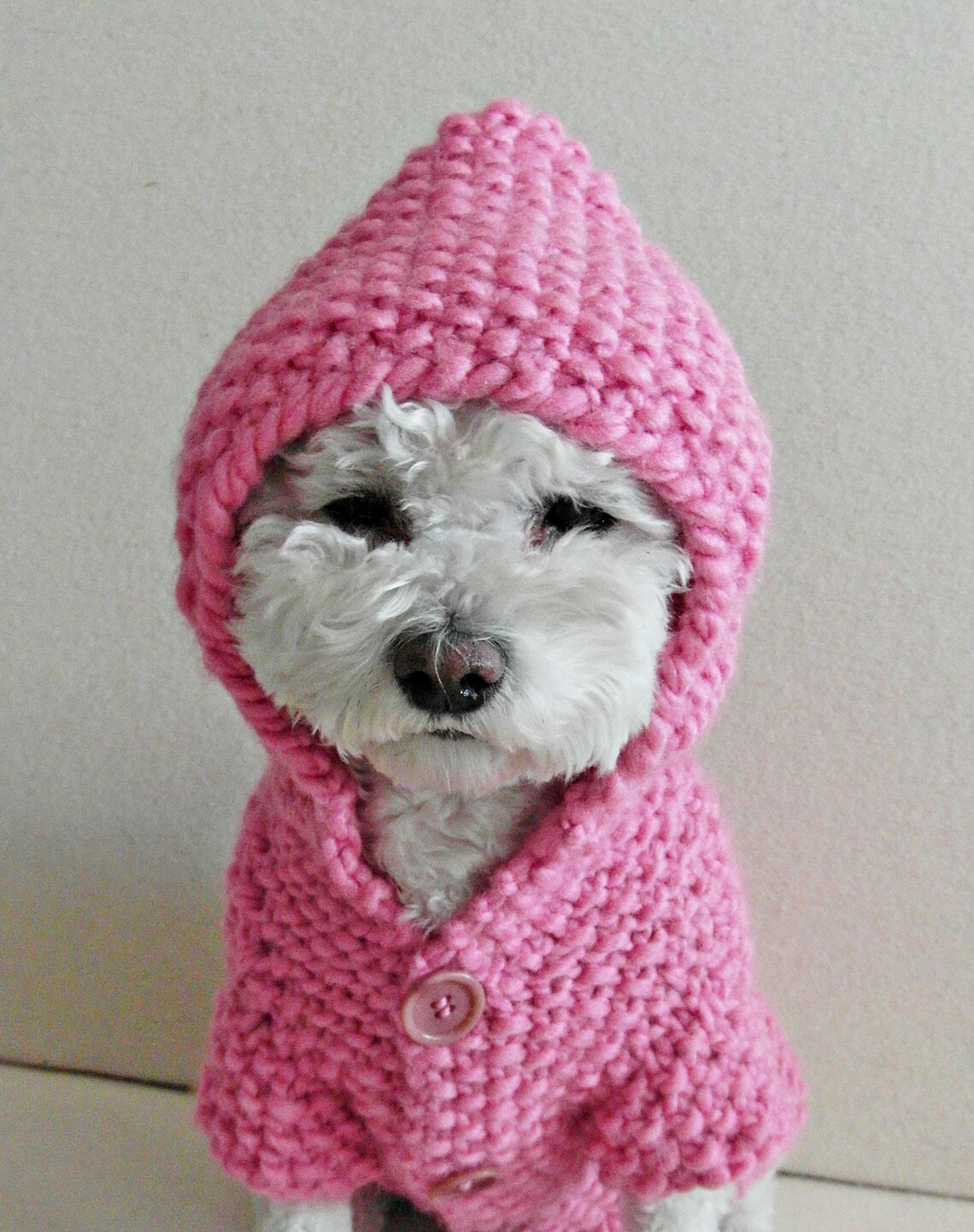 Dog Pink Hoodie Sweater Hand Knit Pet Clothing Small Dog Etsy