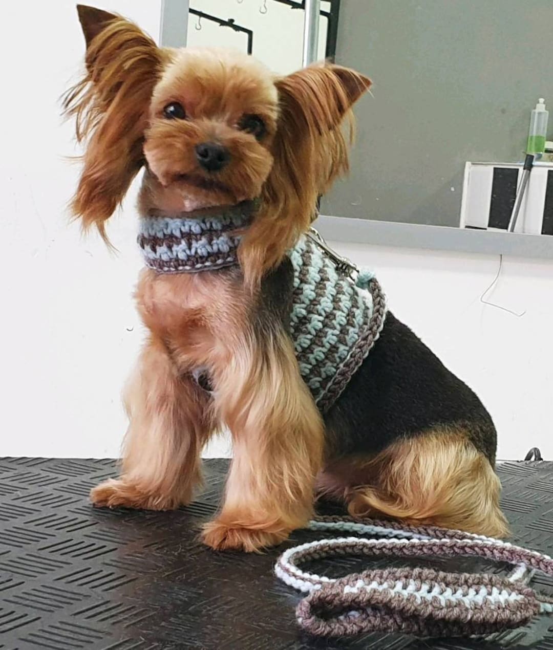 Handmade Dog Harness Dog Harness BOY Dog Harness and Leash Set Friendly