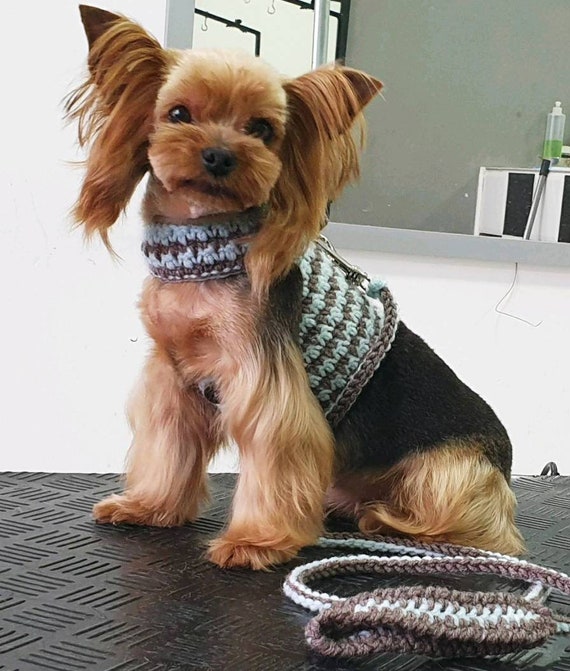 Repurposed Monogram Dog Harness: Luxury Couture Boutique Designer Dog  Clothes- Bark N Boujee