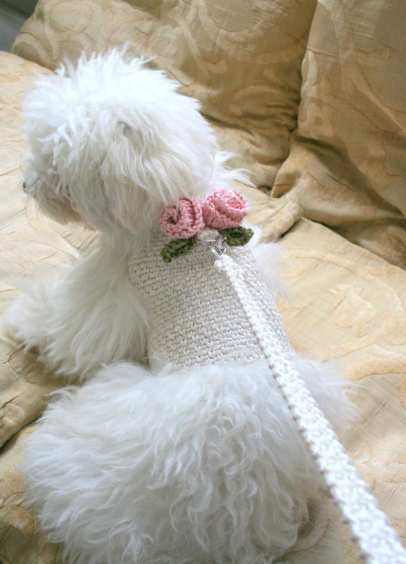 Wedding Dog harness, Harness & Leash Set, Dog harness vest, Dog Harness Dress, Knit Dog Top, Small dog clothes, Crochet dog vest, BubaDog image 1