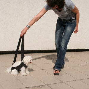 Crochet Dog Carrier: Handmade Pet Sling, BubaDog Design