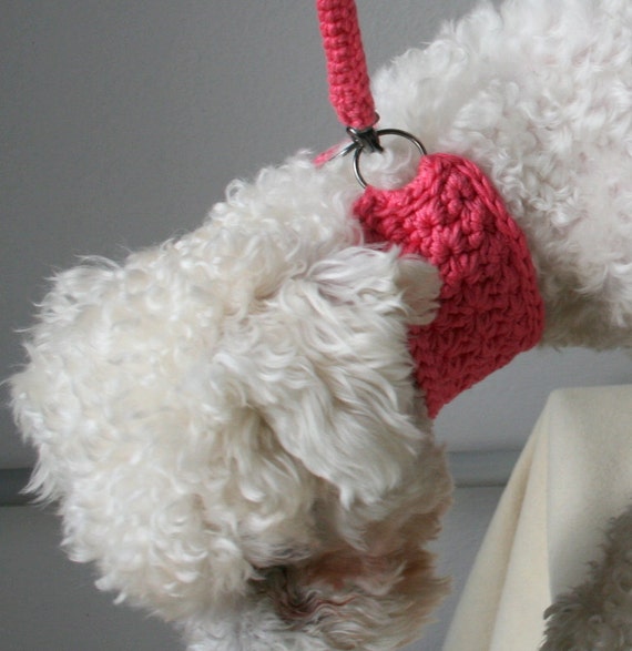 Fuchsia Dog Collar with Matching Leash Pets accessories Etsy