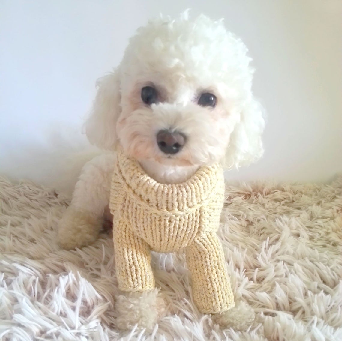 Pastel Dog Sweater. Handmade Dog Clothes. Pet Clothing. Hand Etsy