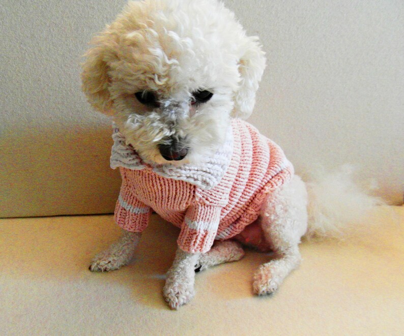 Dog Clothes Tshirt dog sweater Cotton dog sweater Etsy