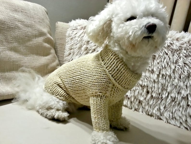 Pastel Dog Sweater. Handmade Dog Clothes. Pet Clothing. Hand Etsy