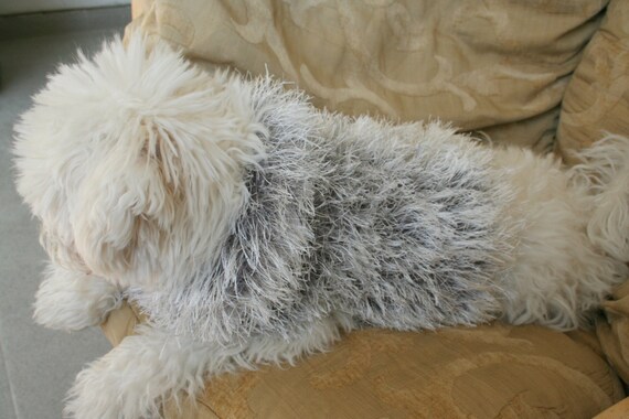 fluffy dog sweater