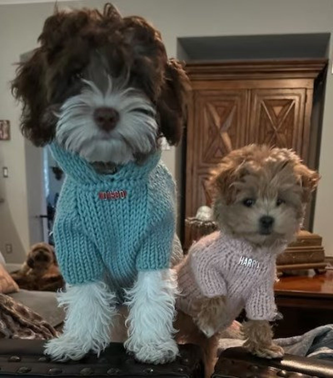 Personalized Dog Hoodieknitted Dog Sweaterpet Sweatersmall Dog