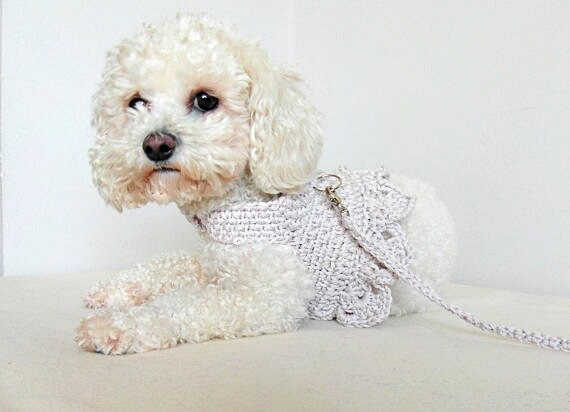 crochet dog harness