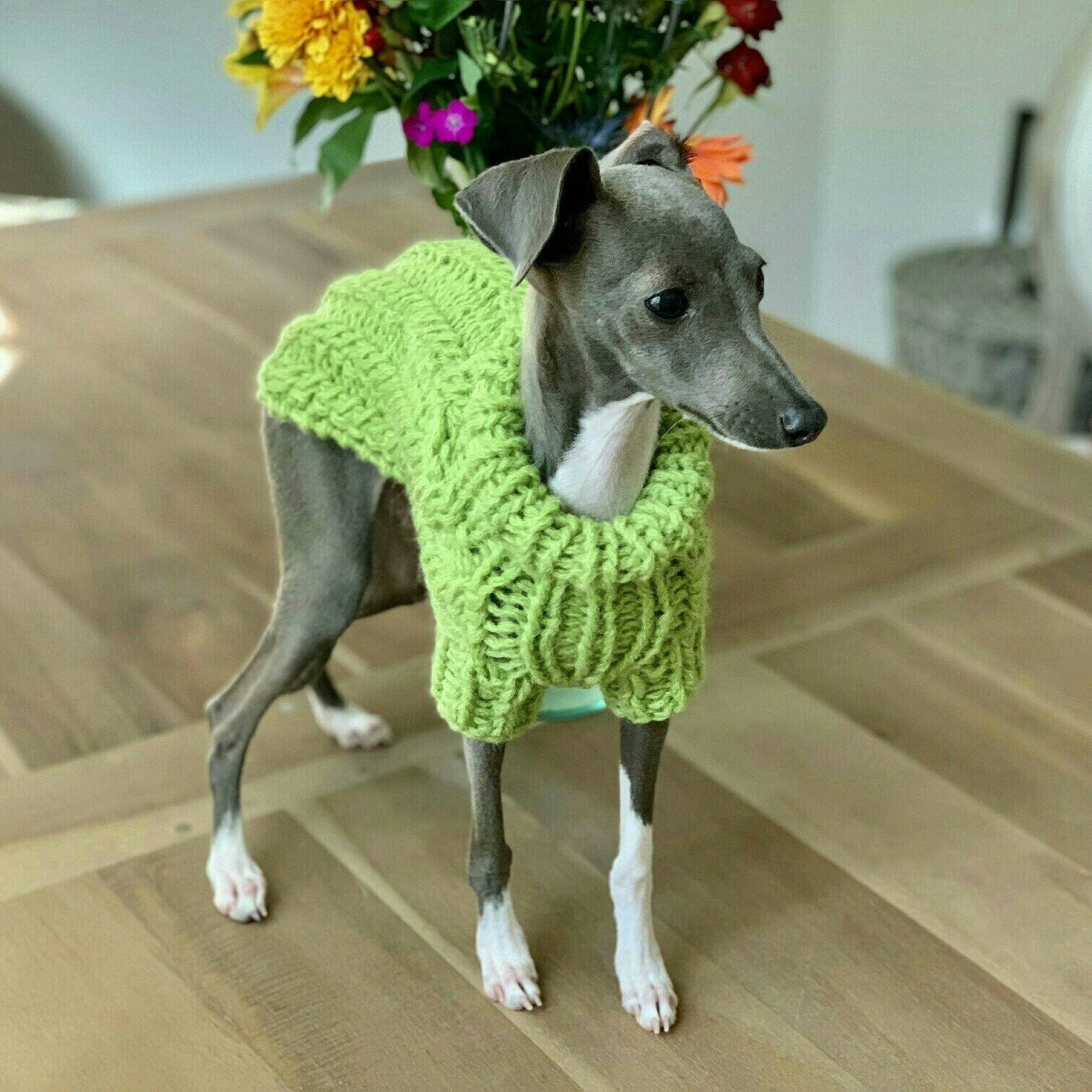 maglione per cane fai da te