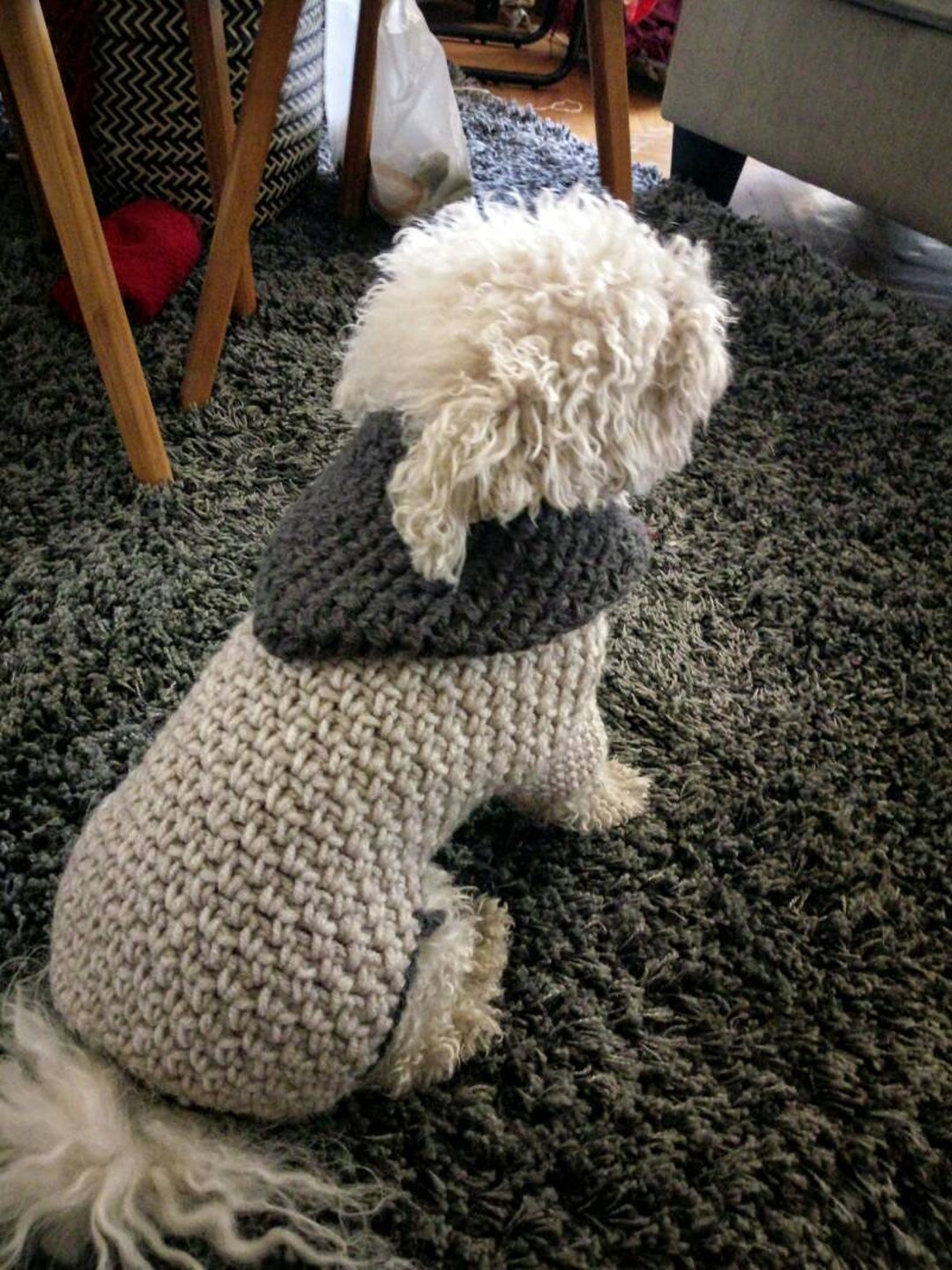 Suéter de crochet para perro hecho a mano: sudadera de invierno - Main Image