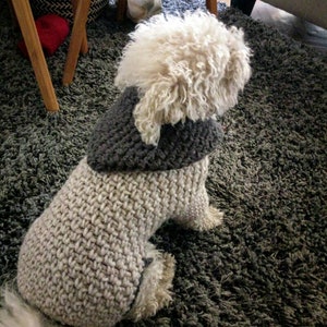 Small dog Sweater / Crochet Dog Sweater / Pet Sweater / Winter Dog Hoodie / Dog Jacket - Dog Outfits / Puppy sweater / BubaDog