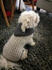 Small dog Sweater / Crochet Dog Clothes / Pet clothing / Winter Dog Hoodie / Warm Dog Clothes - Dog Outfits / Puppy sweater / BubaDog 