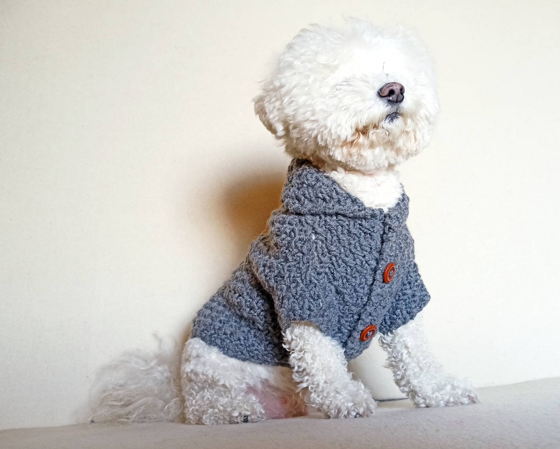 etsy custom dog sweaters